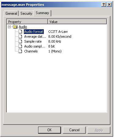 Audio file format