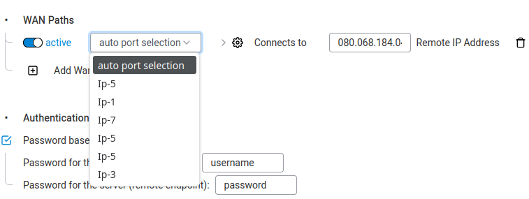 WAN Paths — port selection dropdown showing available interfaces.