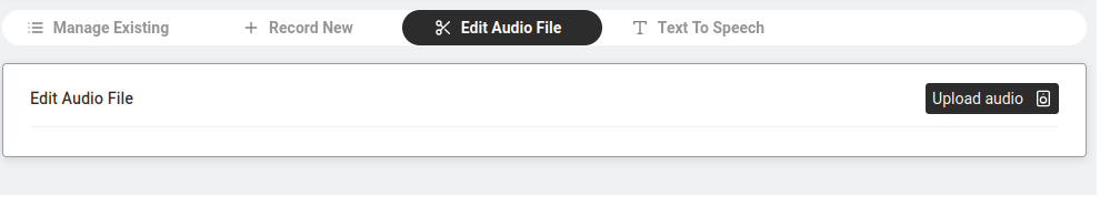 Edit Audio File tab.