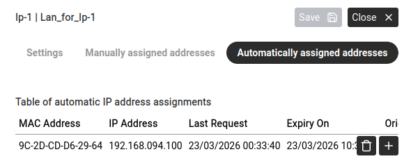 Automatically assigned addresses — devices that received an IP from the pool.